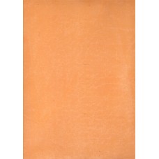 Ref. 78586 - DECALQUE FOLHA CHAPADA SALMAO 1320/001 Ref. 78586 - DECALQUE FOLHA CHAPADA SALMAO 1320/001